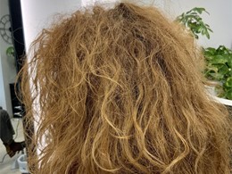 FOTO 6 (ANTES)